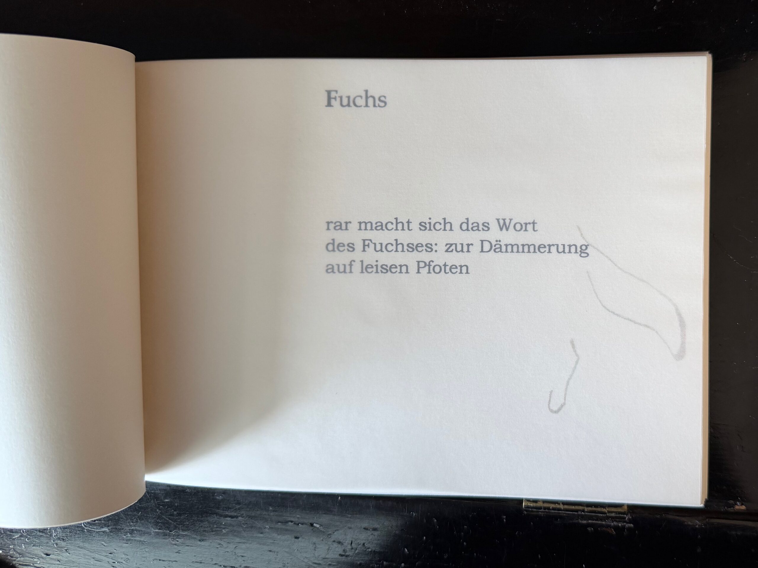 10-Fuchs