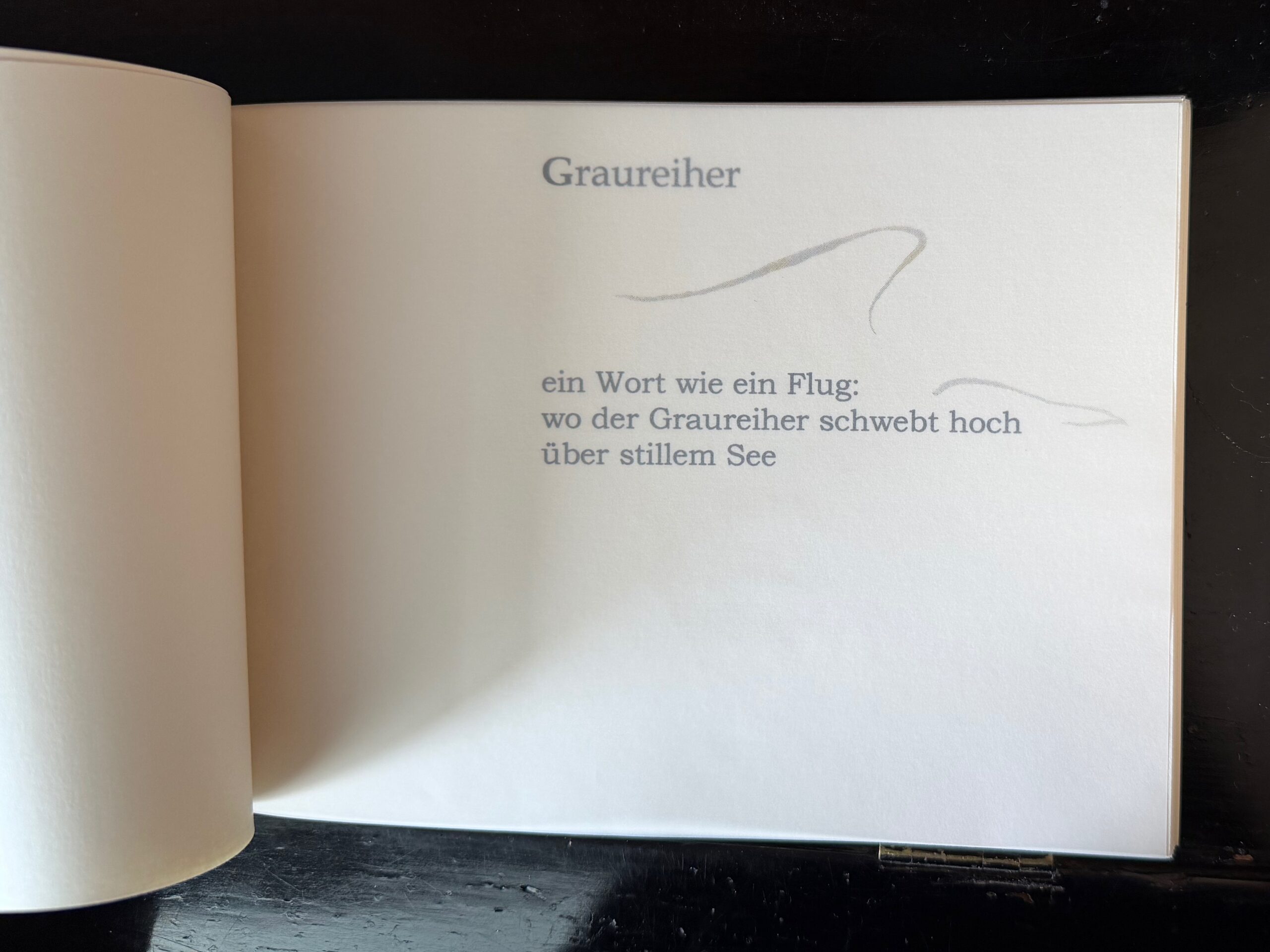 13-Graureiher