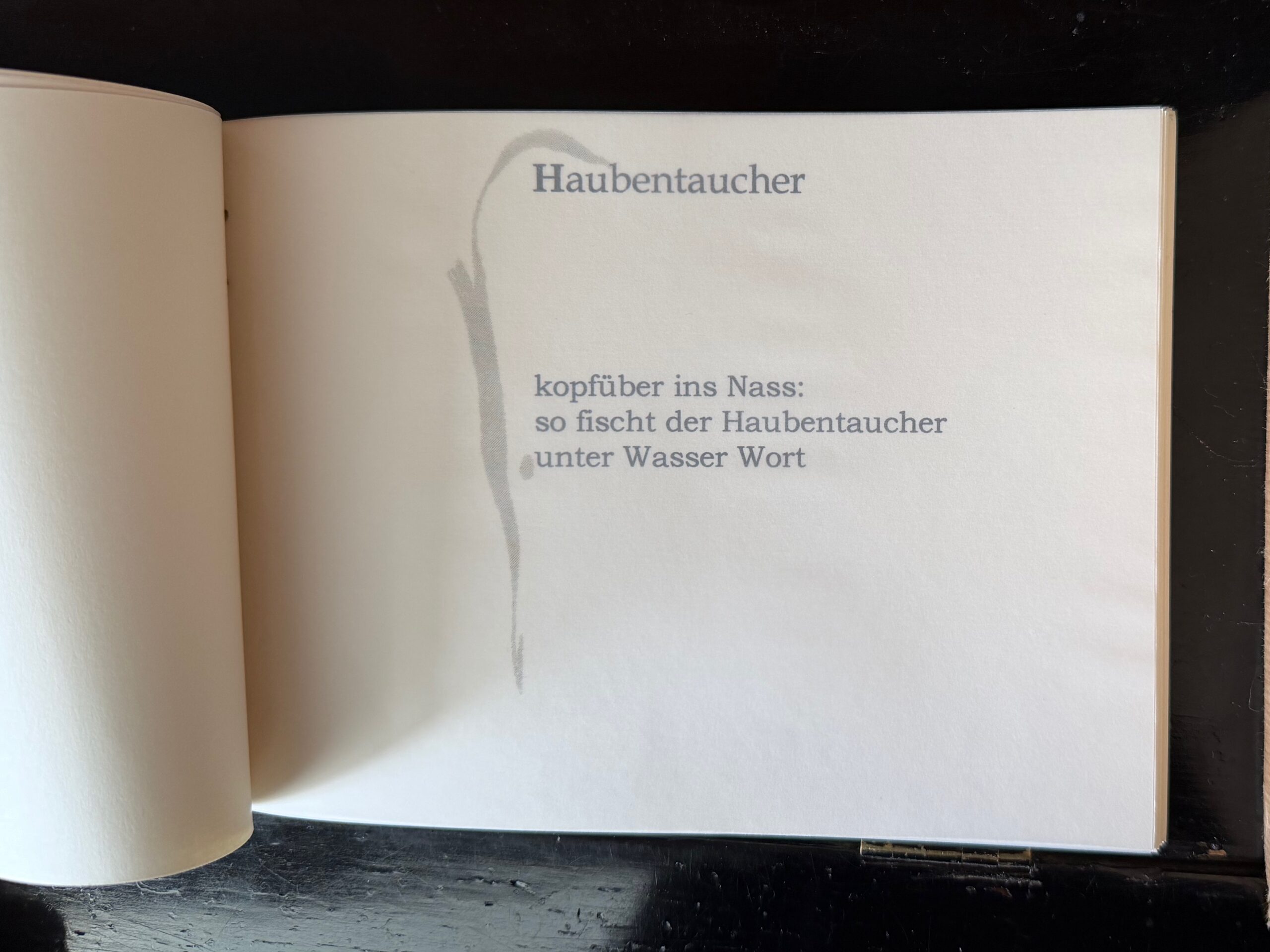 16-Haubentaucher