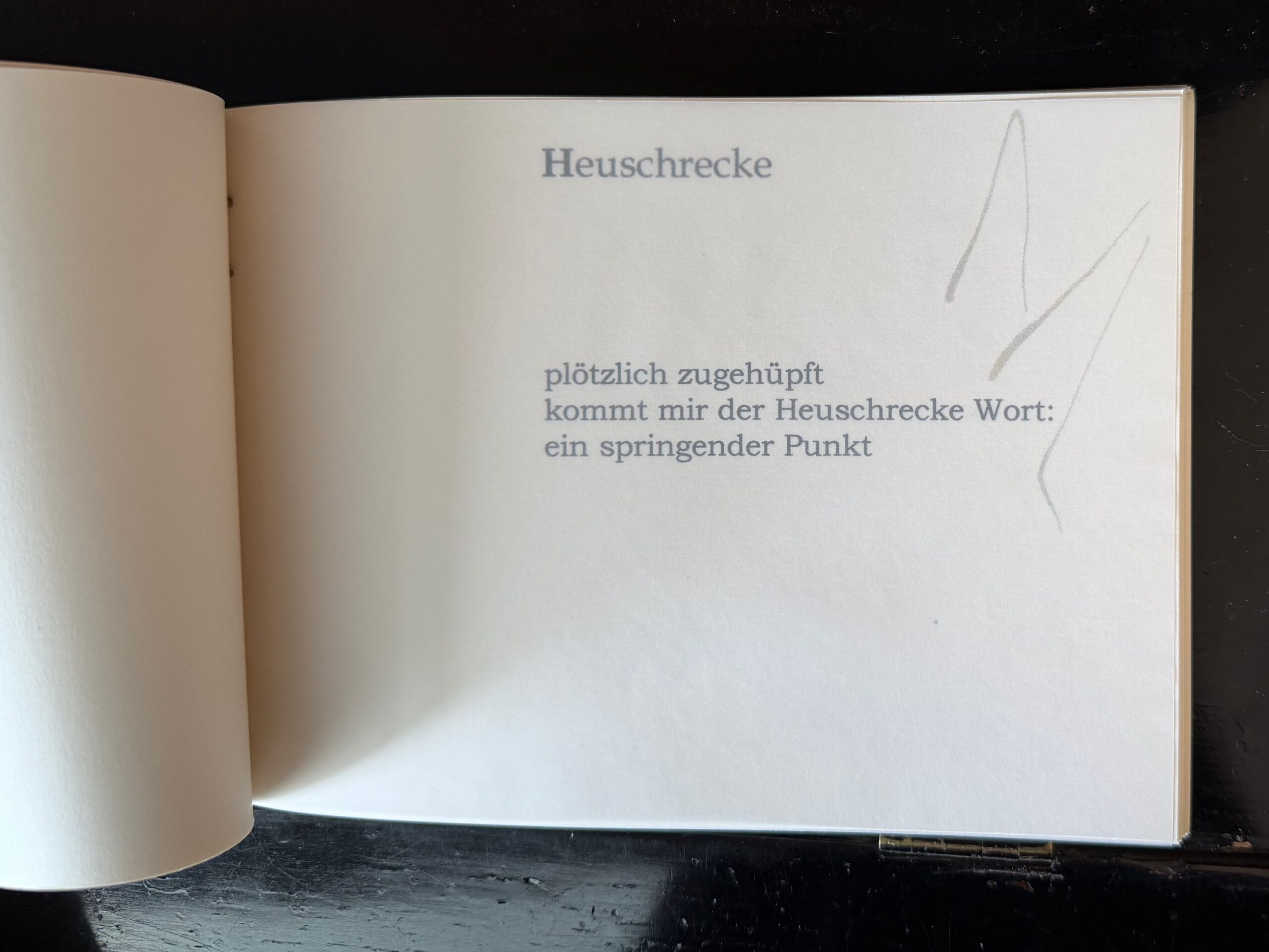 19-Heuschrecke