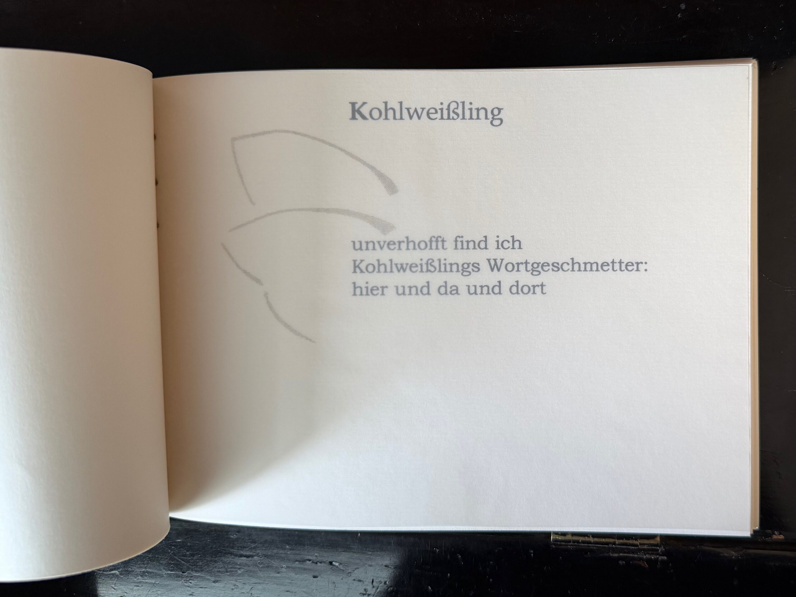 25-Kohlweißling