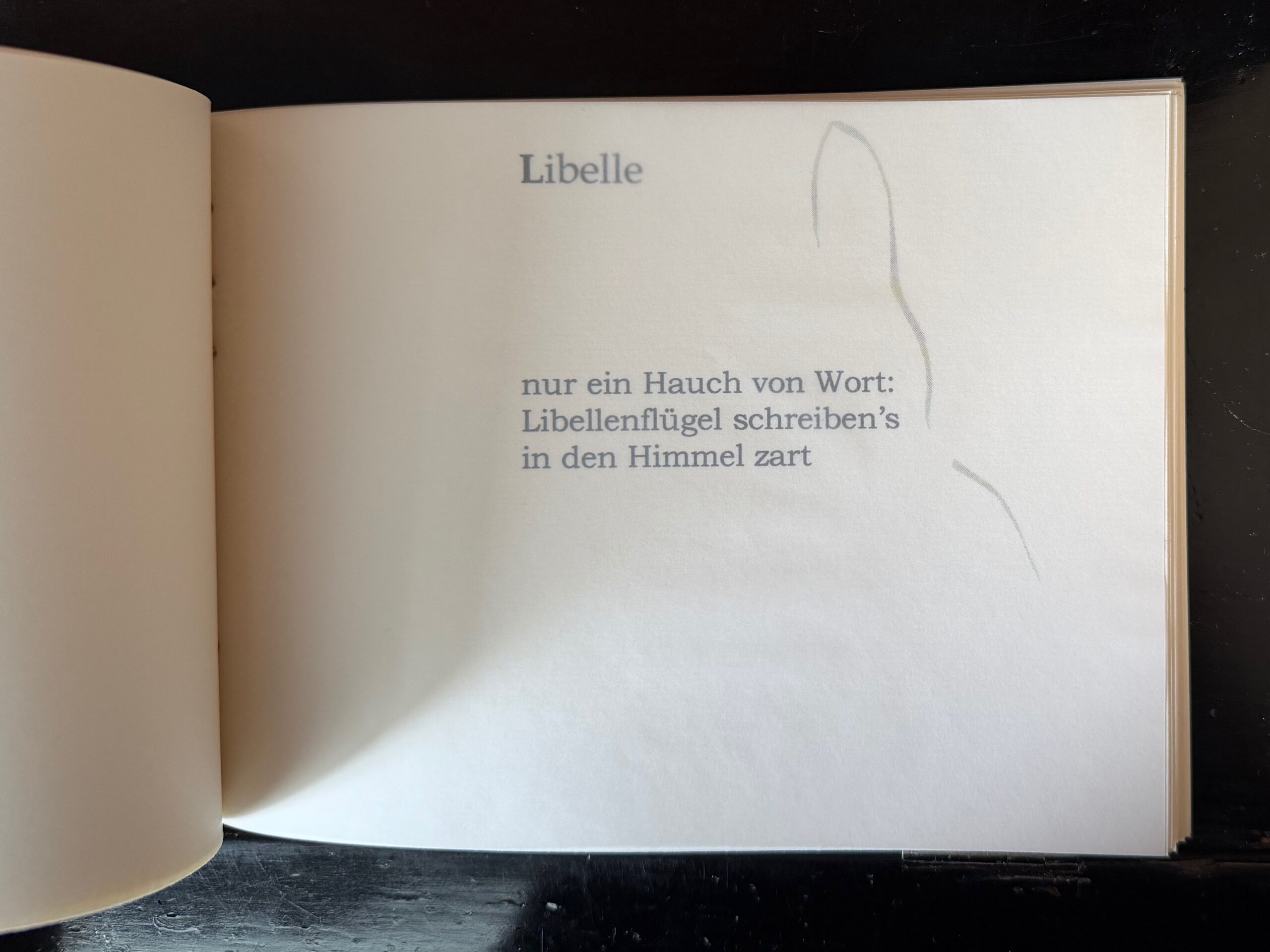 28-Libelle