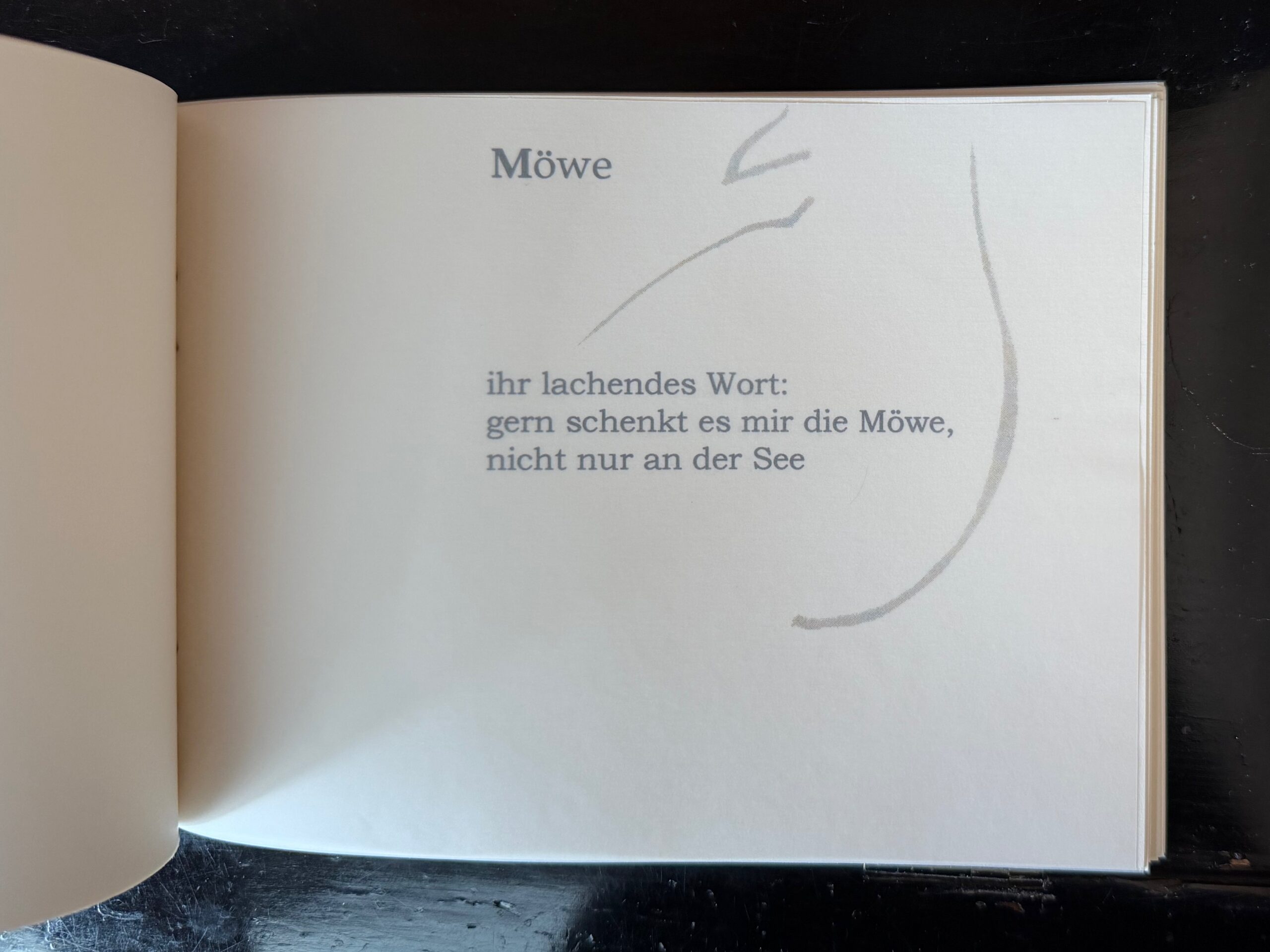 31-Möwe