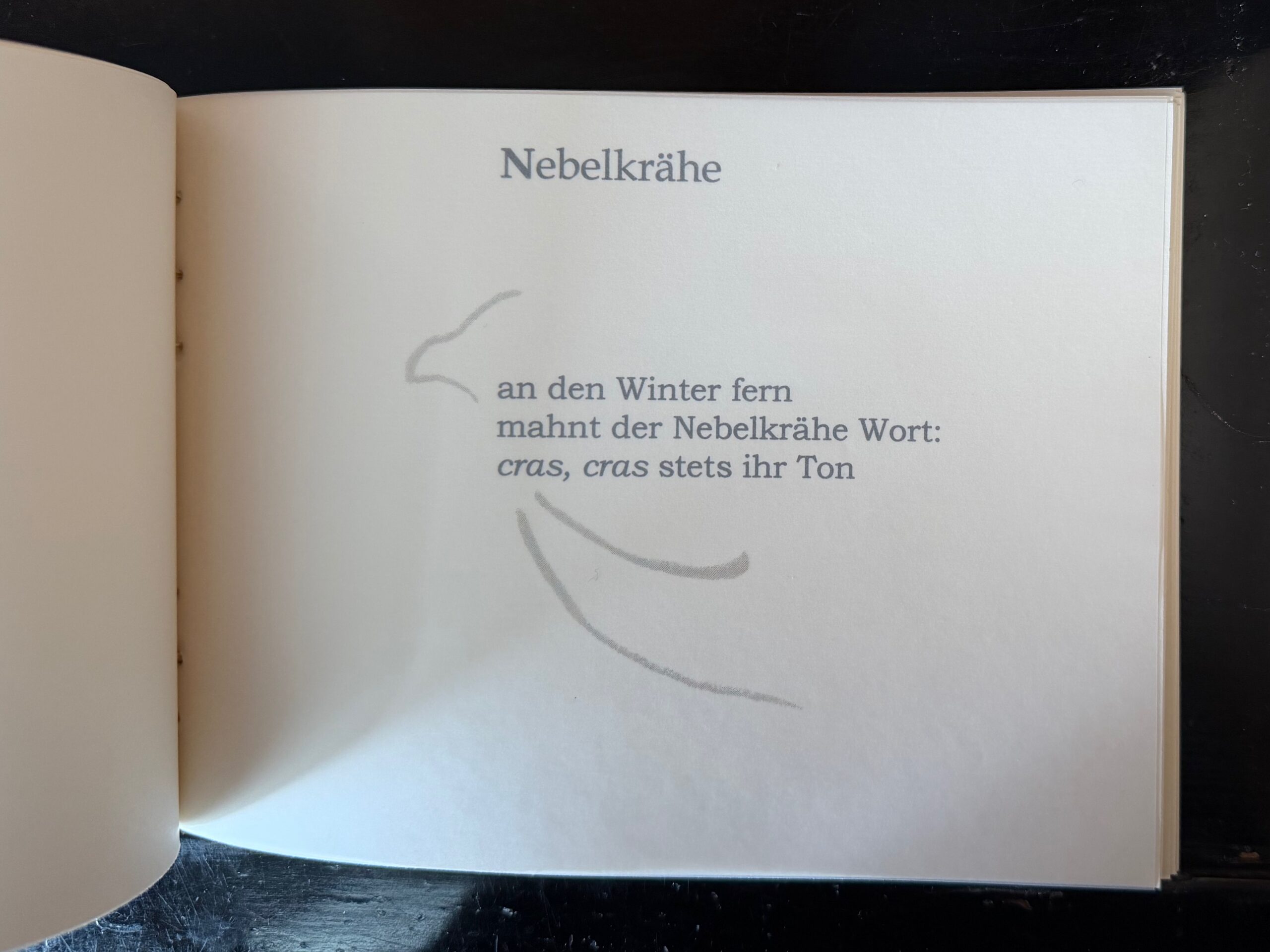 34-Nebelkrähe