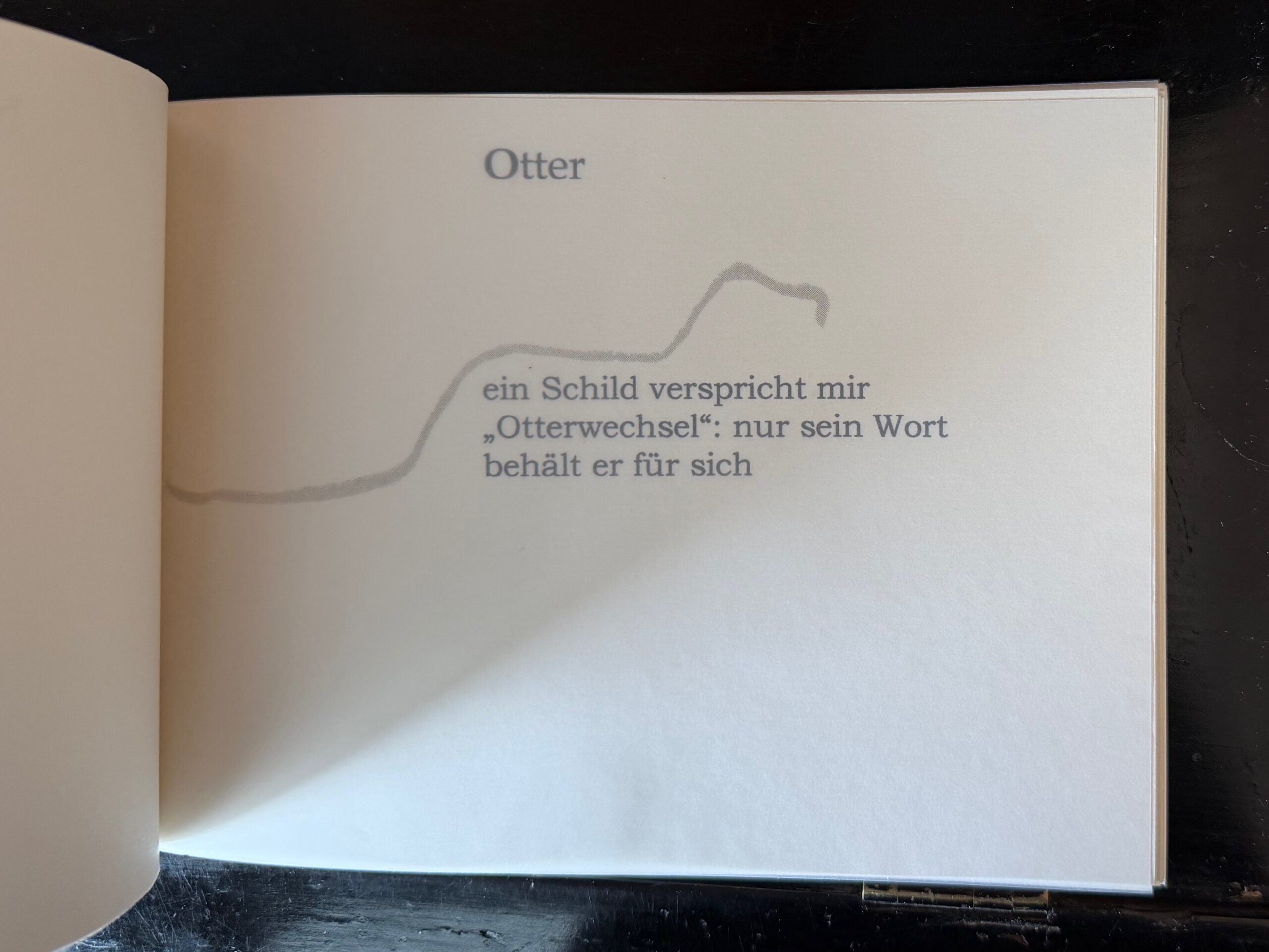 37-Otter