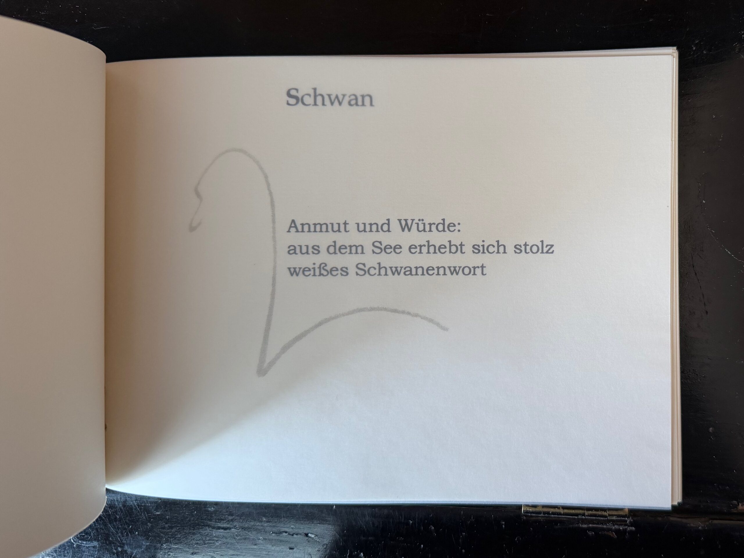 40-Schwan