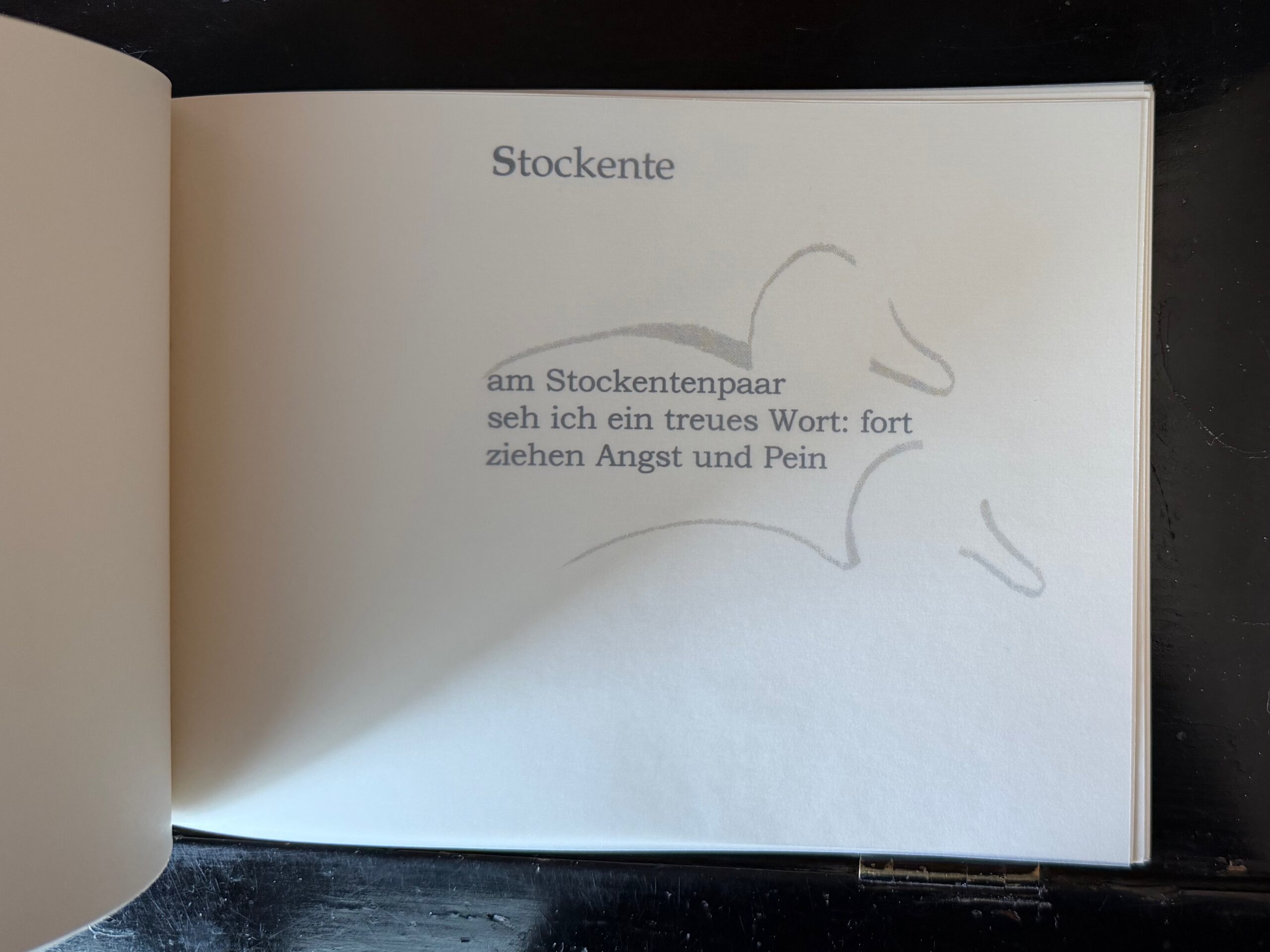43-Stockente