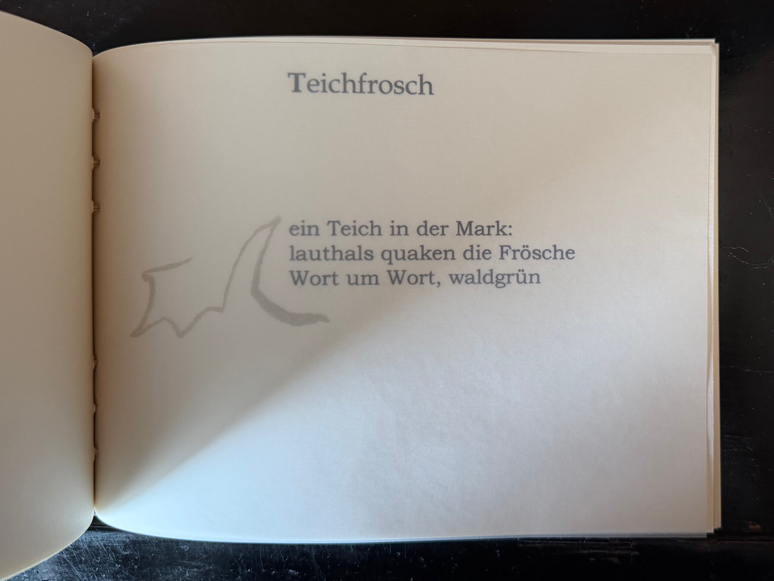 49-Teichfrosch