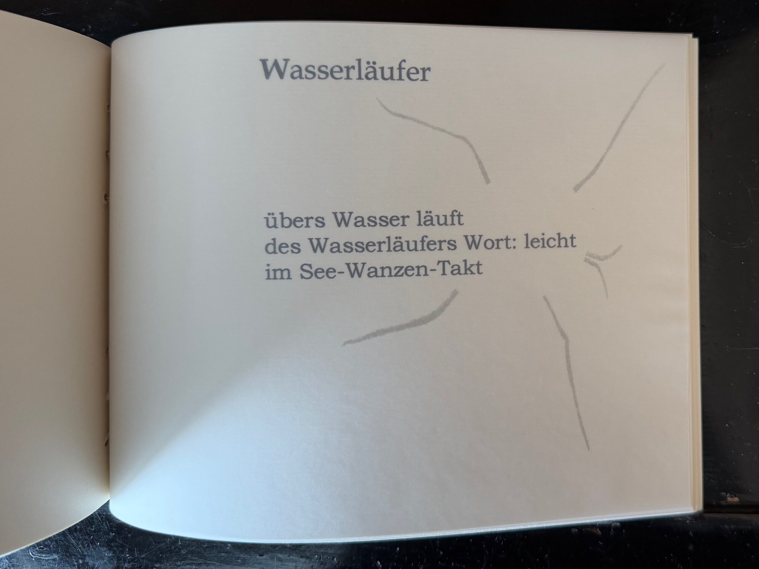 52-Wasserläufer