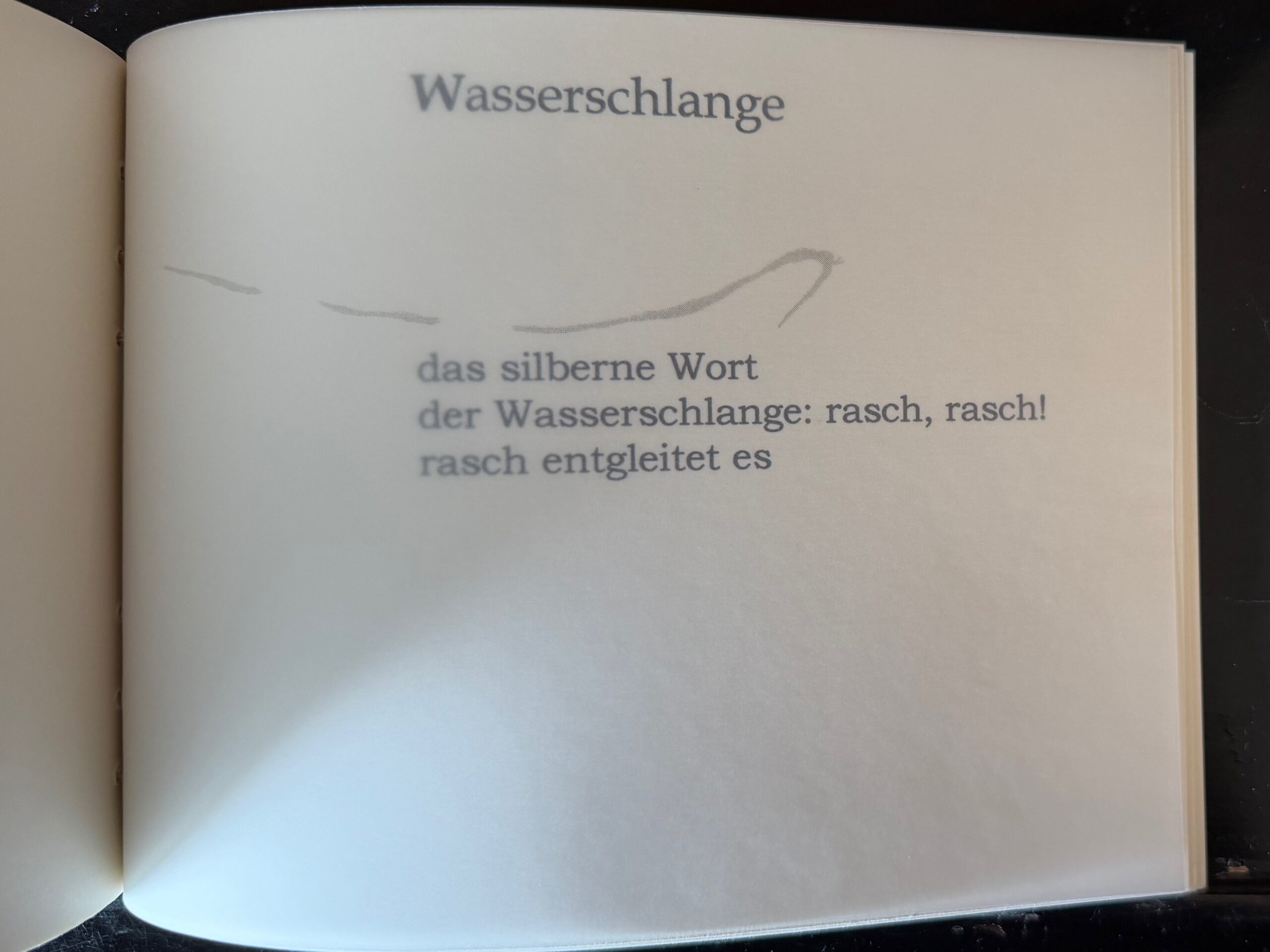 55-Wasserschlange