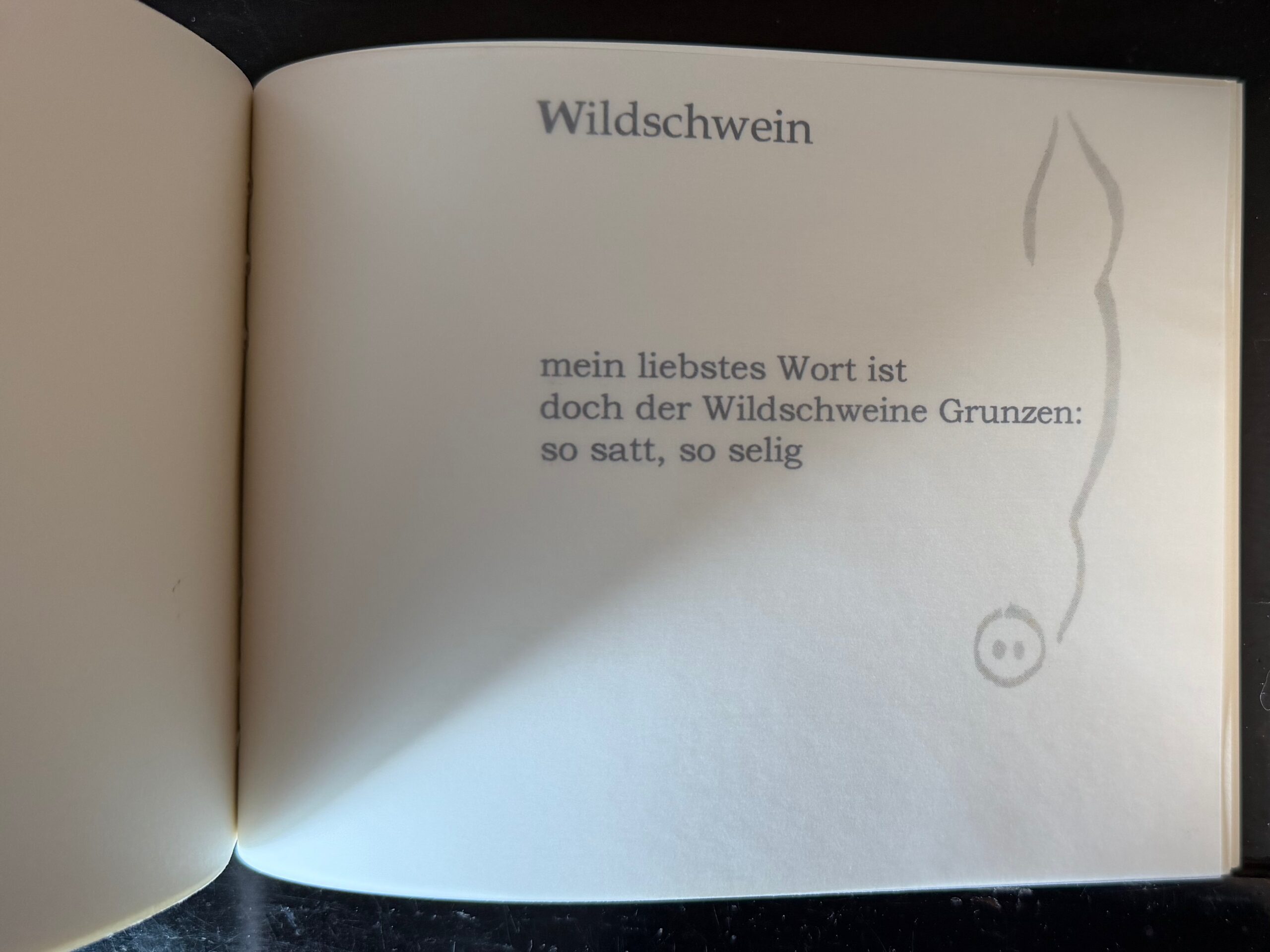 58-Wildschwein