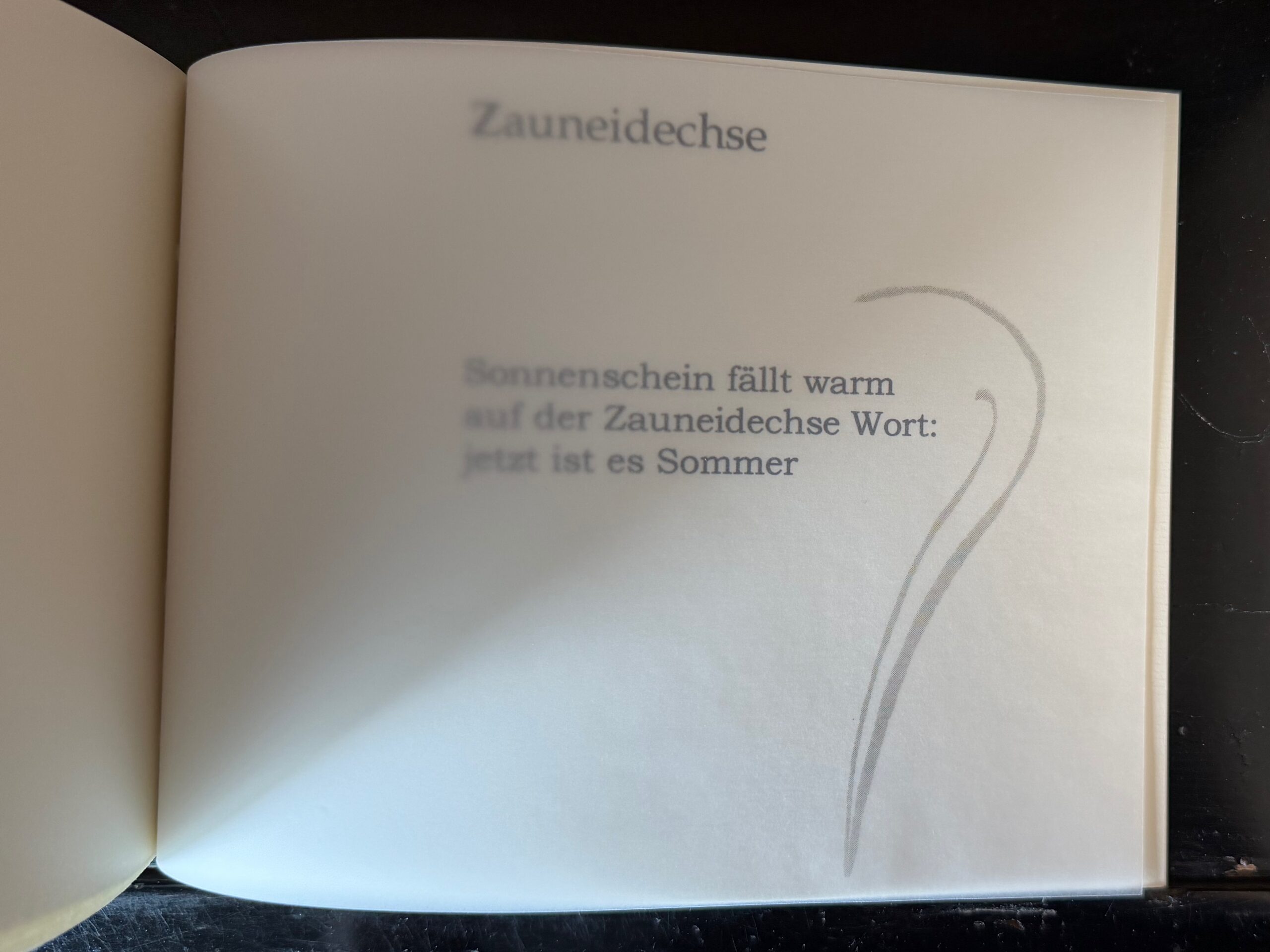 61-Zauneidechse
